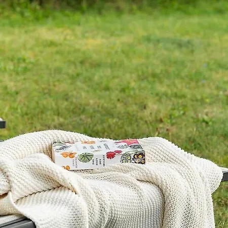 Bl1661-saltum-klitrosevej-11 Semesterbostad Saltum